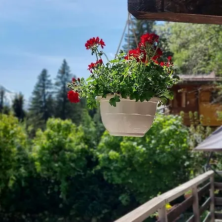 Falcon With Hot Tub * Шамоні